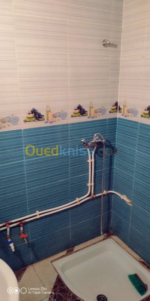 Vente bien immobilier Djelfa Djelfa
