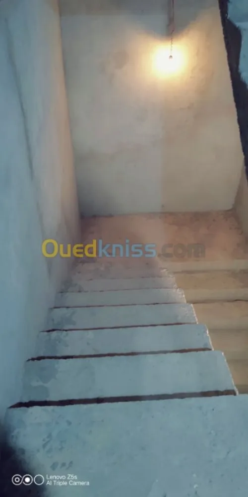 Vente bien immobilier Djelfa Djelfa