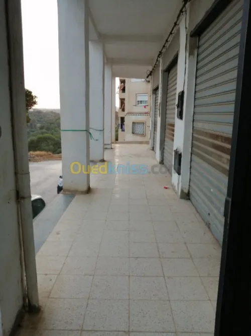Location Local Alger Birkhadem