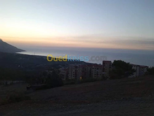 Vente Terrain Tizi Ouzou Azeffoun
