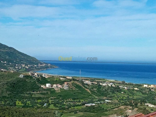 Vente Terrain Tizi Ouzou Azeffoun