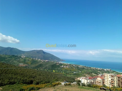 Vente Terrain Tizi Ouzou Azeffoun
