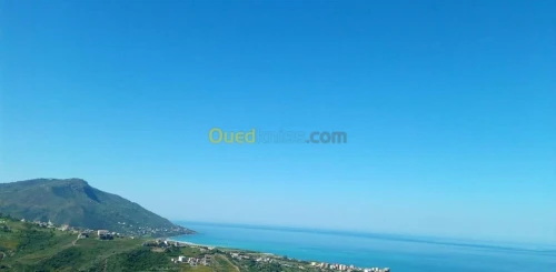 Vente Terrain Tizi Ouzou Azeffoun
