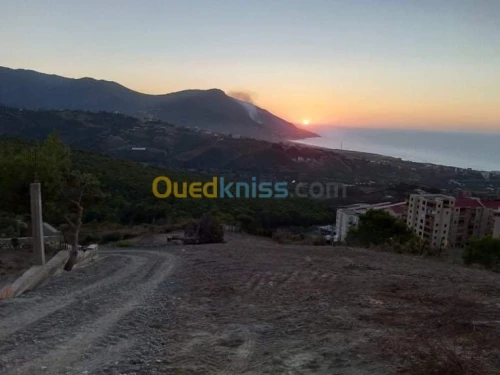 Vente Terrain Tizi Ouzou Azeffoun