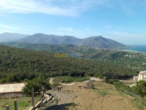 Vente Terrain Tizi Ouzou Azeffoun