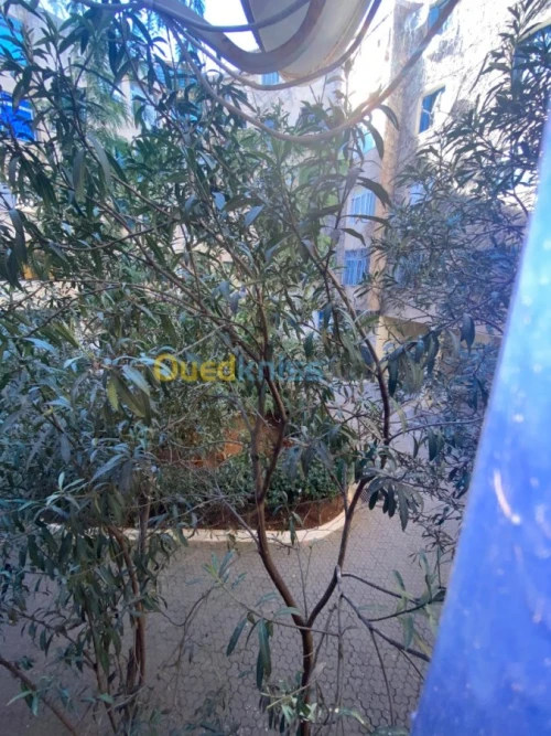 Vente Appartement F3 Alger Mohammadia