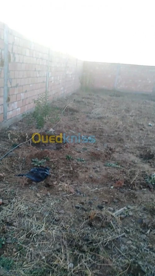 Vente Carcasse Medea Bir ben laabed