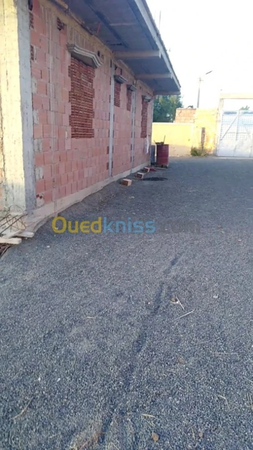 Vente Carcasse Medea Bir ben laabed