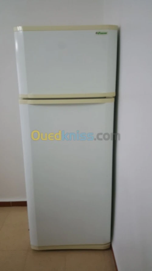 Refrigirateurs marque Frigor 455L
