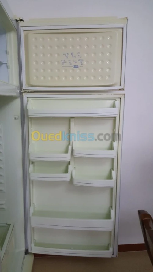 Refrigirateurs marque Frigor 455L