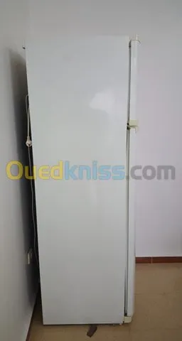 Refrigirateurs marque Frigor 455L
