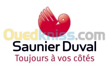 réparation chaudière saunier duval