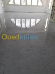 pansage -lustrage-nettoyage