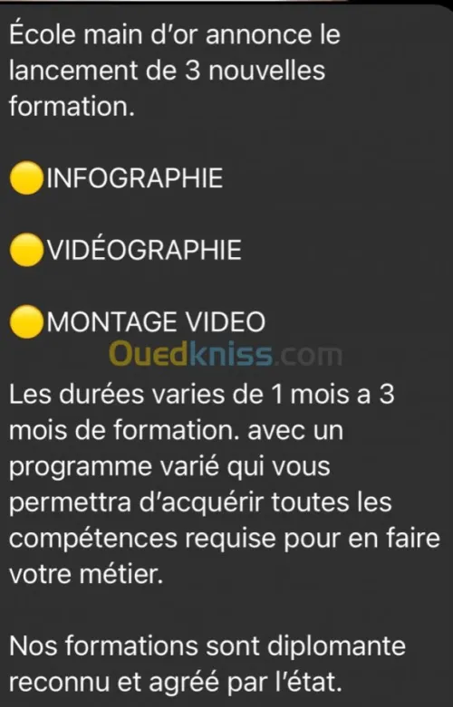 Promo Formation infographie 