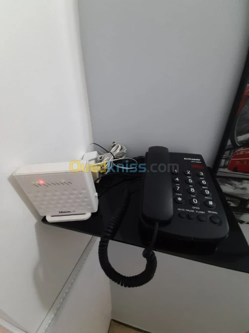 Location Appartement F4 Alger El biar