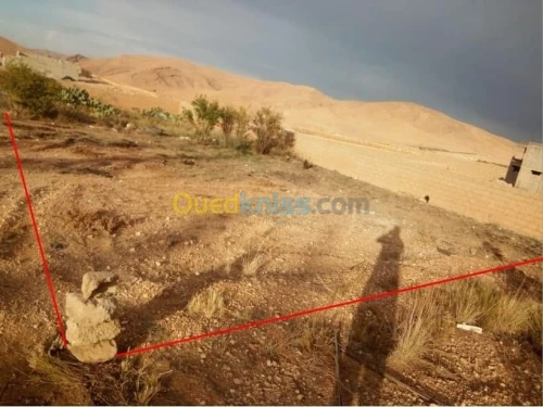 Vente Terrain Msila El hamel