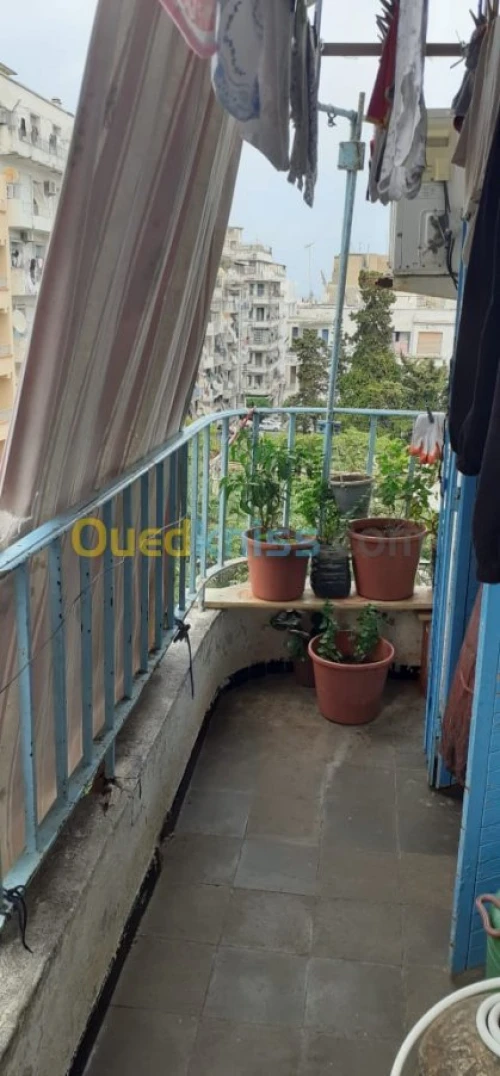 Vente Appartement F2 Alger Sidi mhamed