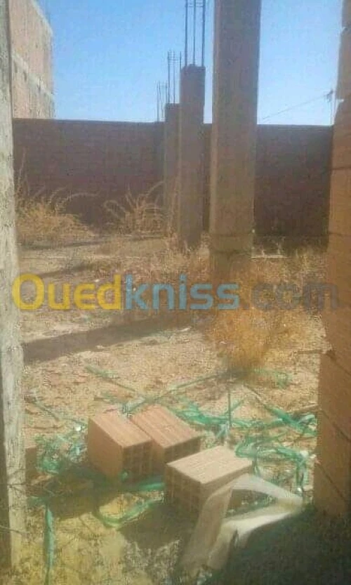 Vente Terrain Mascara Bou hanifia