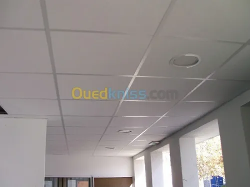 vente et instalation (faux plafond,pvc
