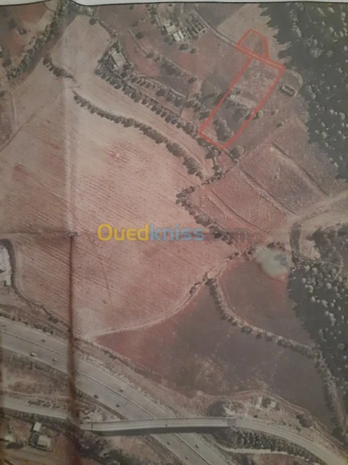 Vente Terrain Blida Oued djer