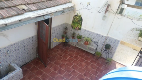 Vente bien immobilier Ain defla Miliana