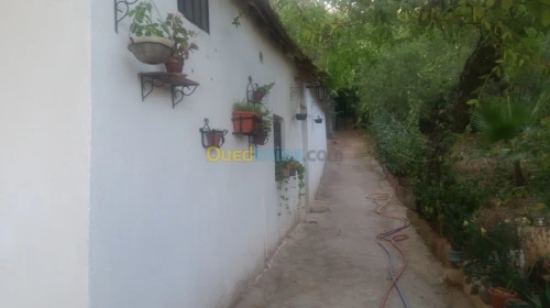 Vente bien immobilier Ain defla Miliana