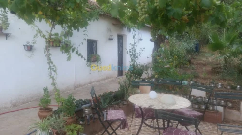 Vente bien immobilier Ain defla Miliana