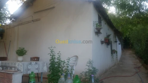 Vente bien immobilier Ain defla Miliana