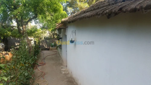 Vente bien immobilier Ain defla Miliana