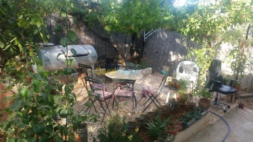 Vente bien immobilier Ain defla Miliana