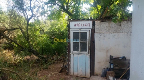 Vente bien immobilier Ain defla Miliana