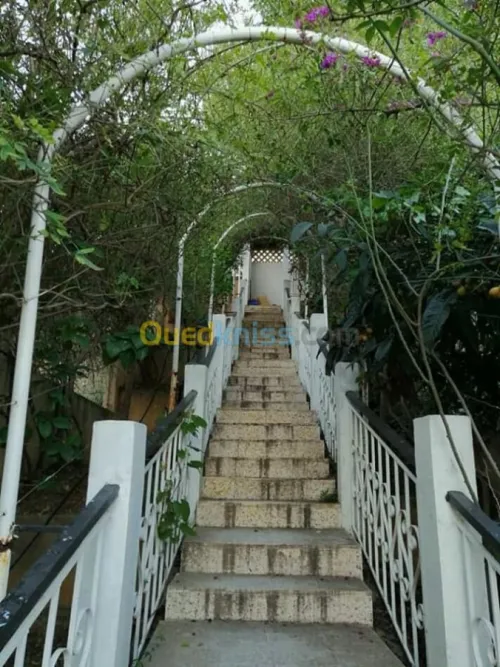 Vente Bungalow Tipaza Larhat