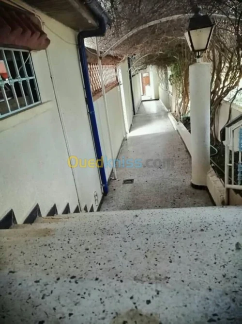 Vente Bungalow Tipaza Larhat