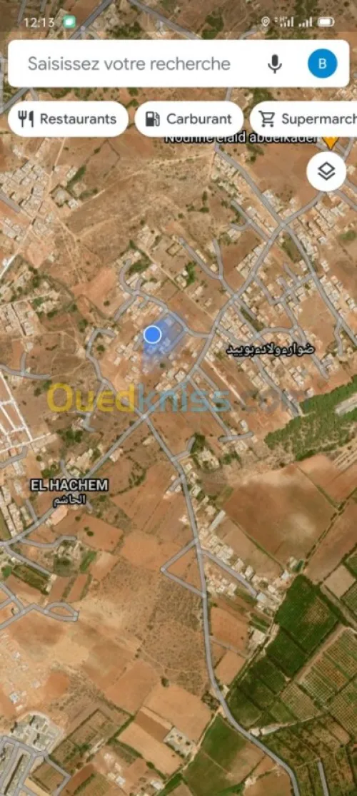 Vente Carcasse Mostaganem Sayada