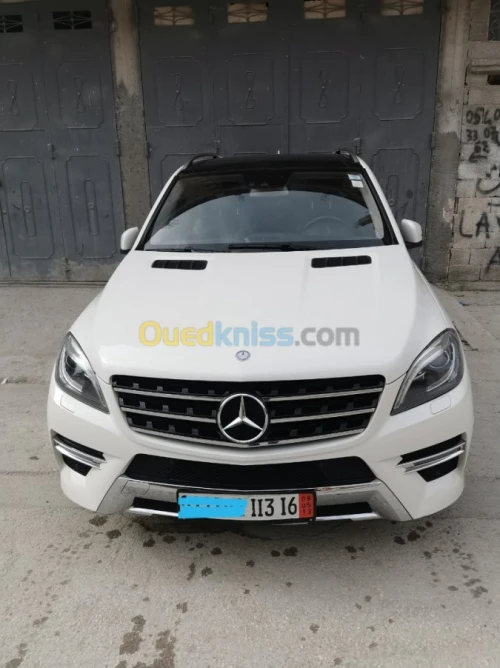 Mercedes Benz ML 2013 250 CDI Pack AMG