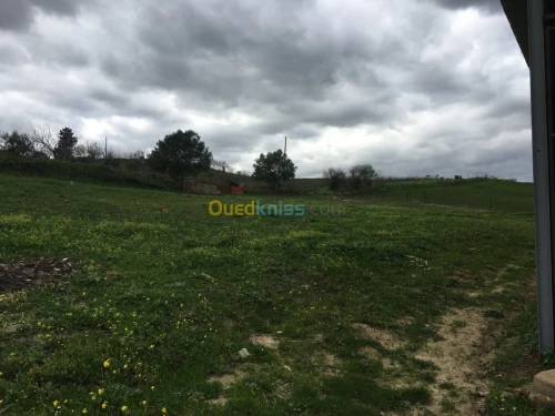 Vente Terrain Boumerdes Bouzegza keddara