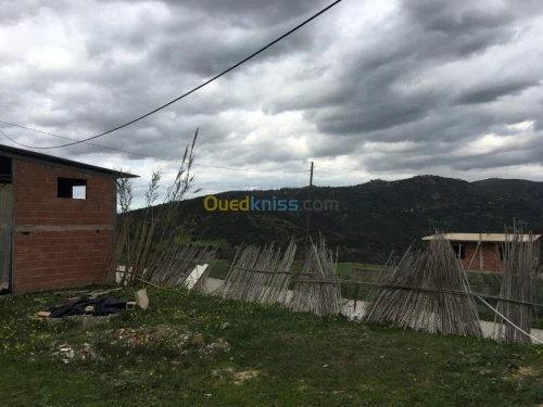 Vente Terrain Boumerdes Bouzegza keddara