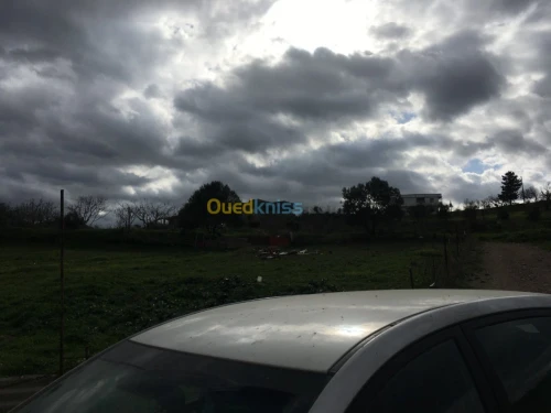 Vente Terrain Boumerdes Bouzegza keddara