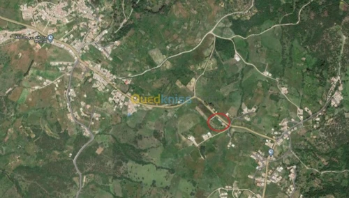 Vente Terrain Boumerdes Bouzegza keddara