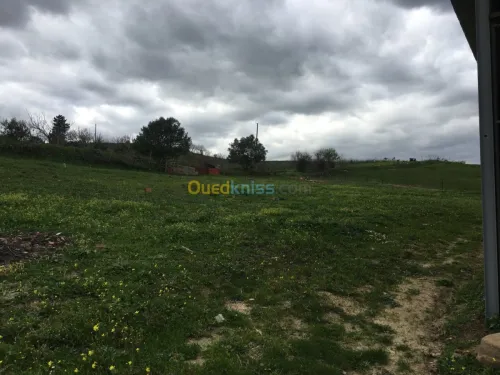 Vente Terrain Boumerdes Bouzegza keddara