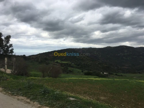 Vente Terrain Boumerdes Bouzegza keddara