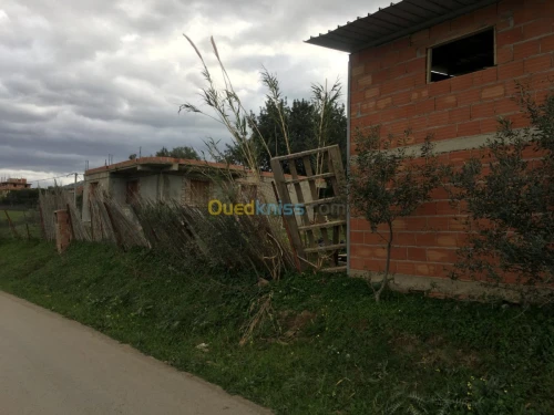 Vente Terrain Boumerdes Bouzegza keddara