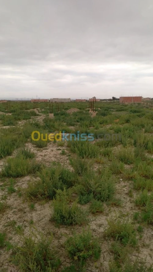 Vente Terrain Relizane Relizane