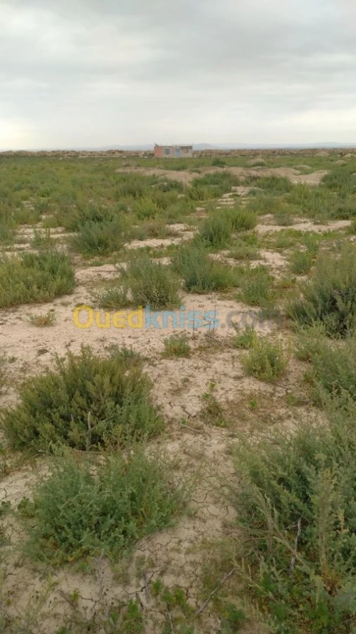 Vente Terrain Relizane Relizane