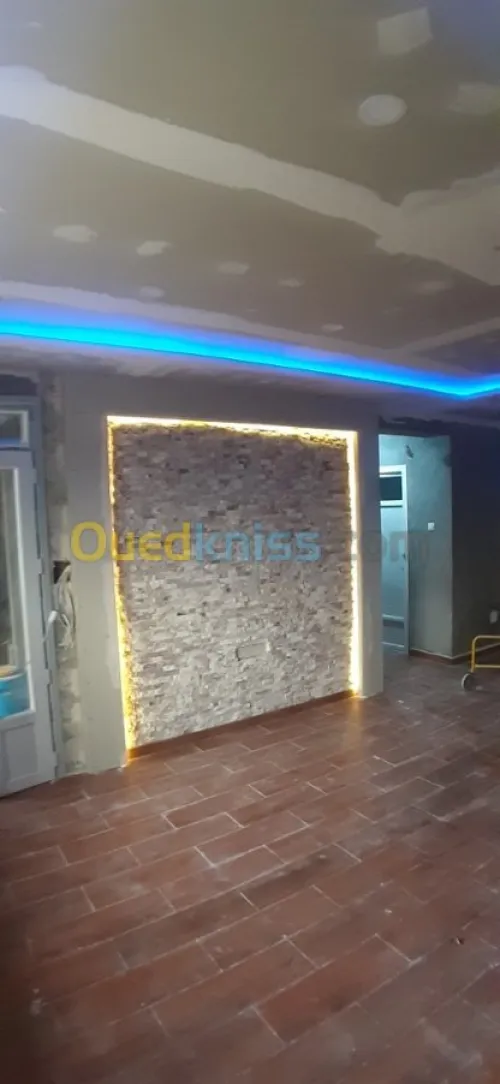  faux plafand,Pvc,aluminium & peinture