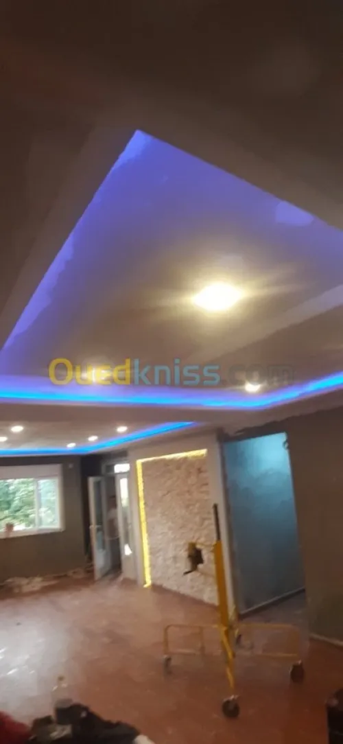  faux plafand,Pvc,aluminium & peinture