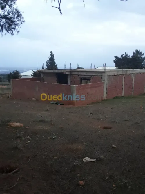 Vente bien immobilier Tipaza Khemisti
