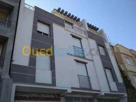 Peinture Facade En Monocouche  et Griffe