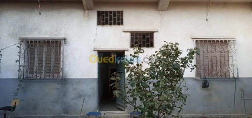 Vente Immeuble Alger El harrach