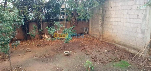 Vente Immeuble Alger El harrach